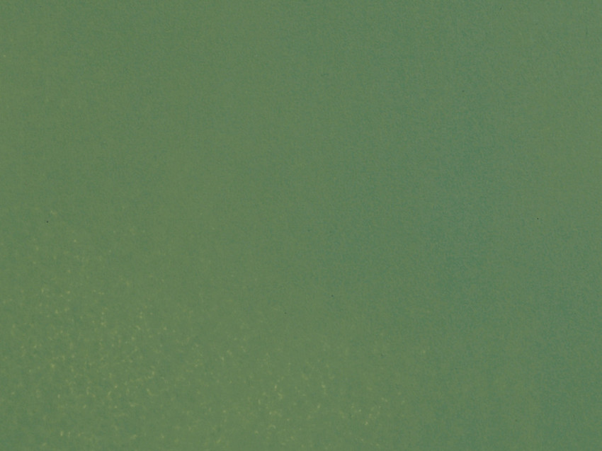 Acrylic Colour Light Green matt, 90 ml Etrains