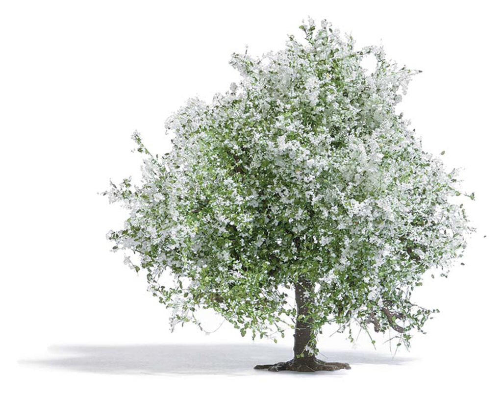 Model Train Accessories Trees Model Train Trees For Sale eTrains